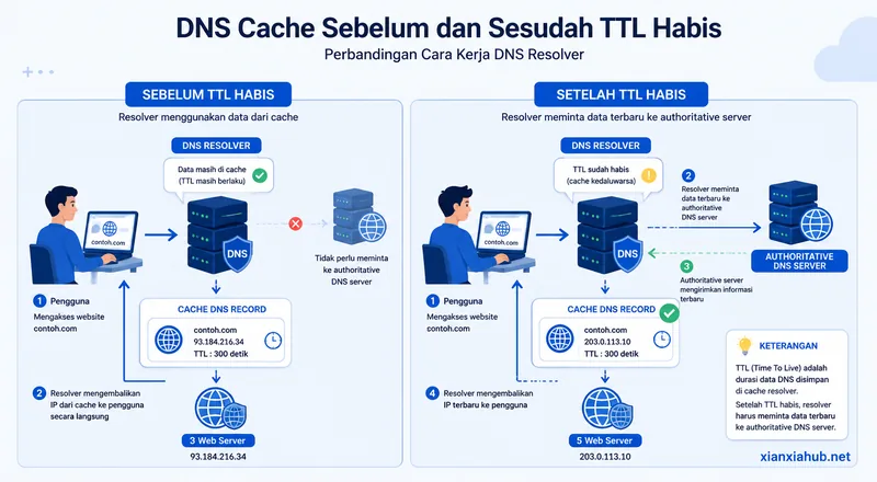 Ilustrasi DNS cache sebelum dan sesudah TTL kedaluwarsa yang memperlihatkan proses DNS resolver mengambil data dari cache atau meminta pembaruan ke authoritative DNS server.