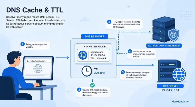 Ilustrasi DNS Cache dan TTL yang menunjukkan DNS resolver menggunakan cache DNS, masa berlaku TTL, permintaan ke authoritative DNS server, dan koneksi ke web server.
